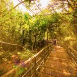 Parque das Aves